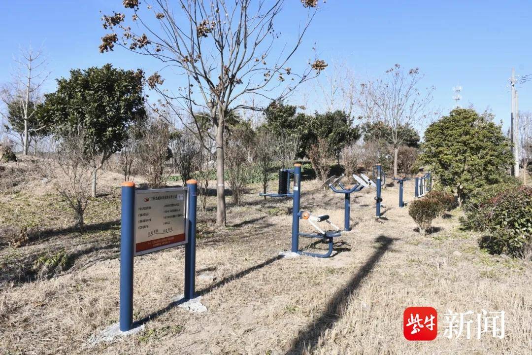 東臺(tái)市弶港鎮(zhèn)傾心為民辦實(shí)事 增添健身器材暖人心:健身器材
