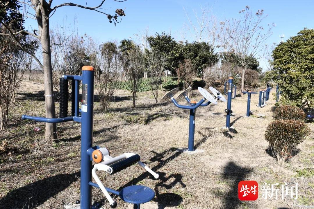 東臺(tái)市弶港鎮(zhèn)傾心為民辦實(shí)事 增添健身器材暖人心:健身器材
